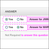 Making the Questionnaire Accessible.